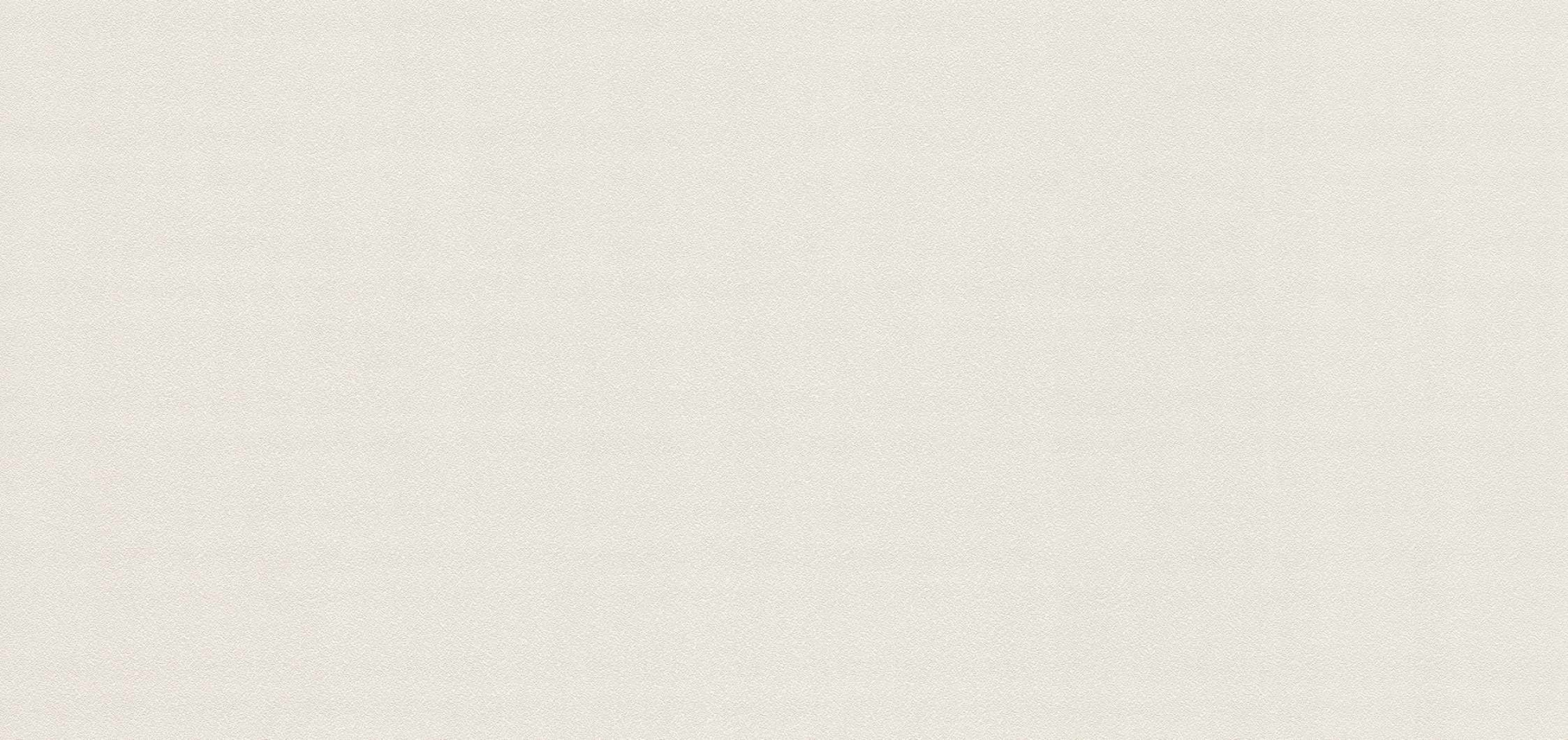 rapport