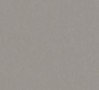 rapport